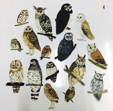 Load image into Gallery viewer, Owl sticker